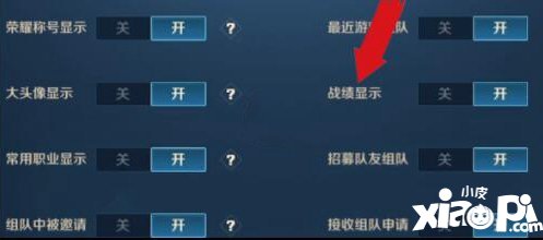 王者荣耀战绩怎么隐藏