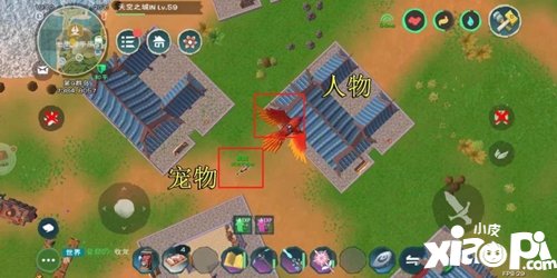 创造与魔法起飞宠物不消失教程 卡bug教程