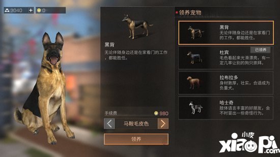 明日之后宠物性格养成攻略 宠物性格哪个好