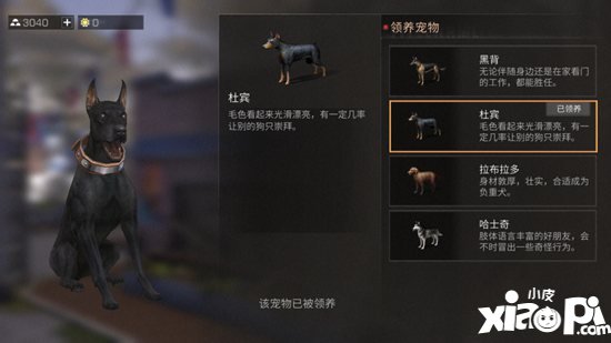 明日之后宠物性格养成攻略 宠物性格哪个好
