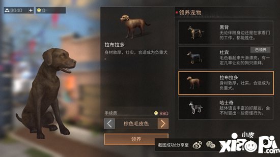 明日之后宠物性格养成攻略 宠物性格哪个好