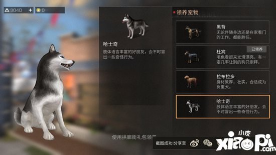明日之后宠物性格养成攻略 宠物性格哪个好