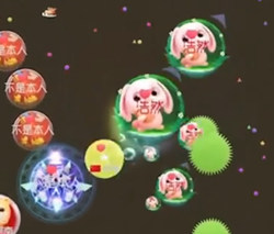球球大作战生存模式炫光求婚 郁浩然解说玩火草莓