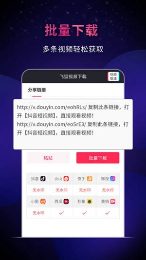 飞狐视频下载器