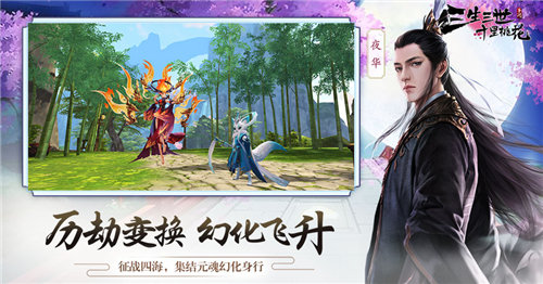 三生三世十里桃花游戏截图