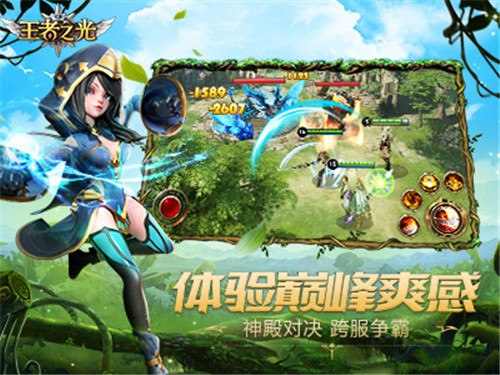 王者之光游戏截图