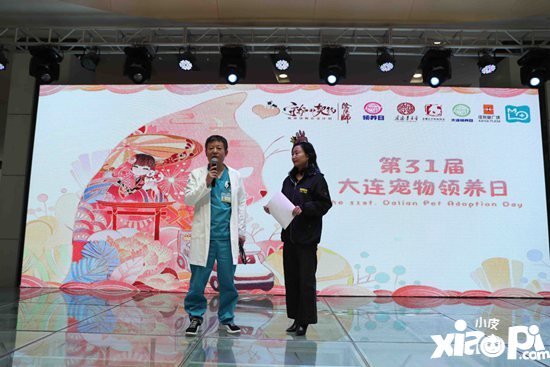 阴阳师医疗领养公益救助车开启治愈之旅 跨次元守护流浪动物