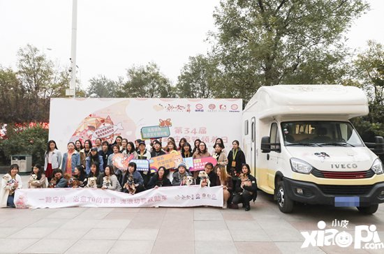 阴阳师医疗领养公益救助车开启治愈之旅 跨次元守护流浪动物